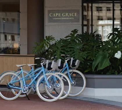 Bicycles to explore the Waterfront and promenade. 