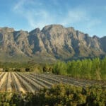 The idyllic Cape Winelands make a suitably scenic destination for a fairytale honeymoon.