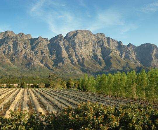 The idyllic Cape Winelands make a suitably scenic destination for a fairytale honeymoon.