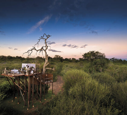 Spend a night under the African sky while at River Lodge.