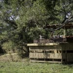 La piel de Chamilandu. 