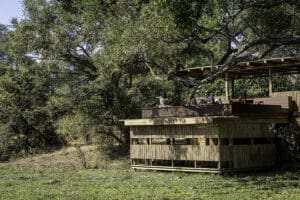 La piel de Chamilandu. 