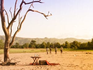 Expect plenty of pleasant surprises at Changa such as alfresco drinks in Matusadona National Park.