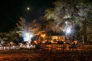 Lamplight da una cálida bienvenida a los huéspedes que regresan de un safari al atardecer.
