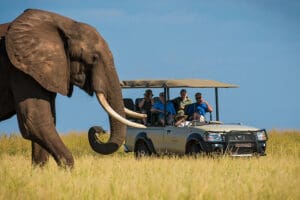 Los safaris guiados descubren los secretos del entorno del lago Kariba.
