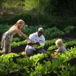 Cheli & Peacock's Tortilis Camp even has its own vegetable garden.