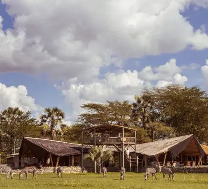 Chem Chem Lodge, Tarangire, Tanzania.
