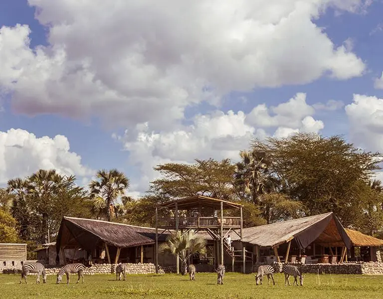 Chem Chem Lodge, Tarangire, Tanzania.