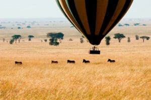 Safari en globo
