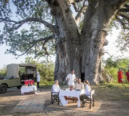 Chem-Chem-Lodge_bush-dining