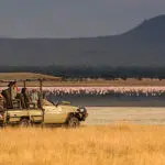 Game drive 