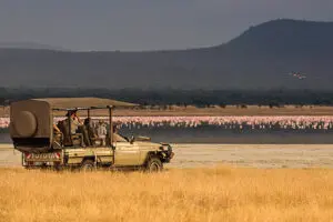 Game drive 