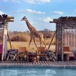 Chem Chem Lodge Swimming pool