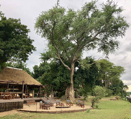 The thatched and tented camp is shaded by a forest of mahogany and acacia trees and enjoys marvellous views over the Zambezi River Valley. 