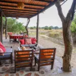 Divise la fauna salvaje desde el campamento.