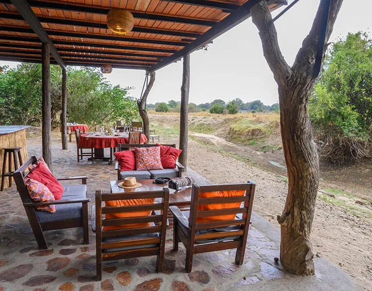 Spot wildlife from the camp. 