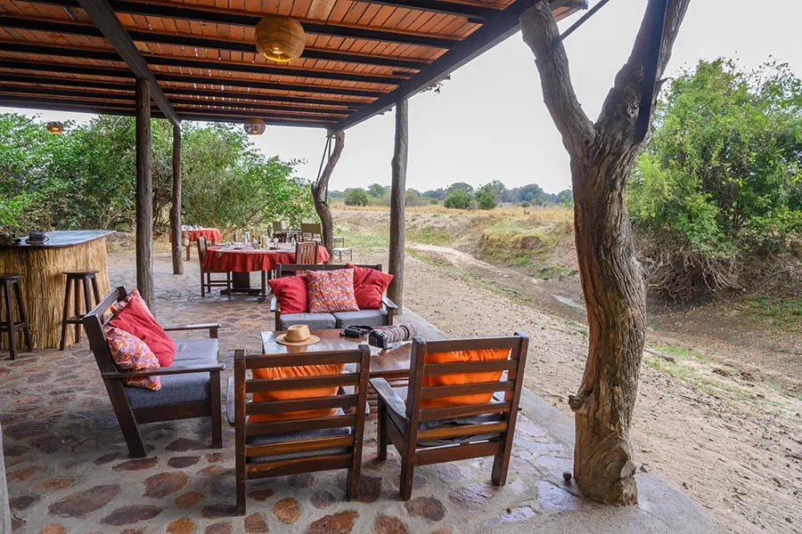 Spot wildlife from the camp. 