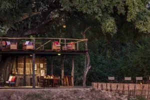 Noches en el Chikoko Tree Camp.