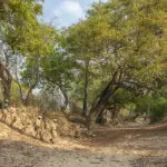 Acompañe a guías especializados en rutas de senderismo.