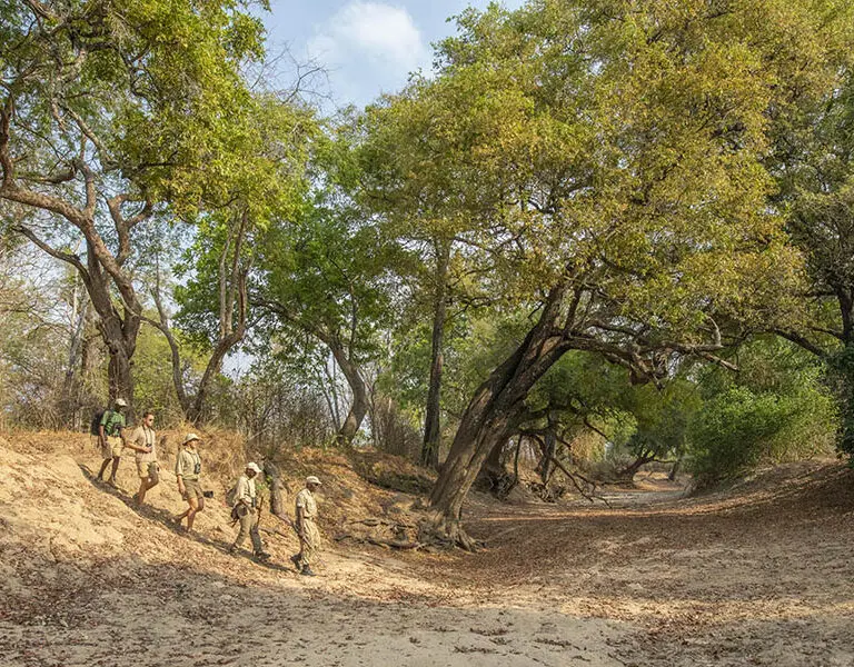 Join specialist guides on walking trails. 