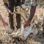 Learn all about the landscape and its wild inhabitants. 