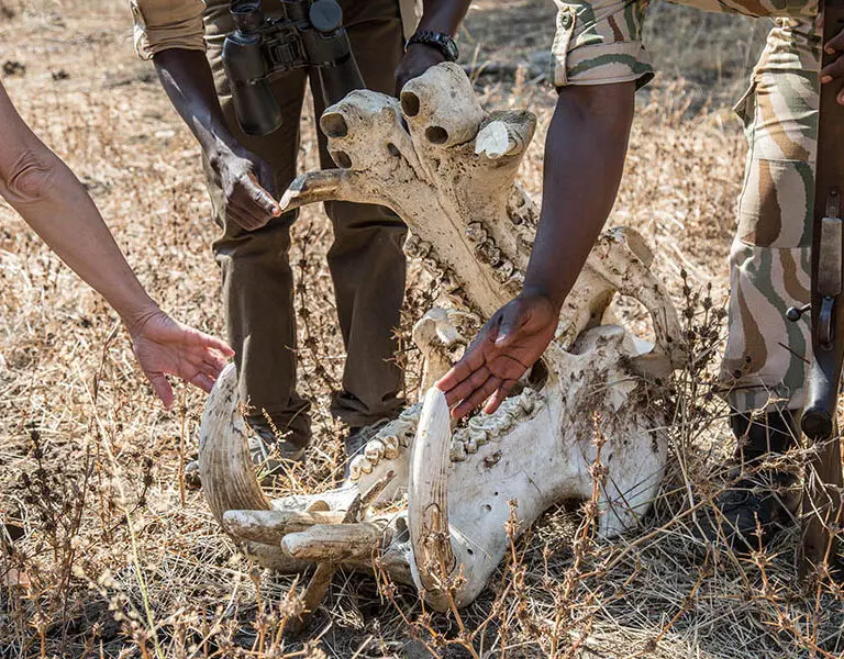 Learn all about the landscape and its wild inhabitants. 