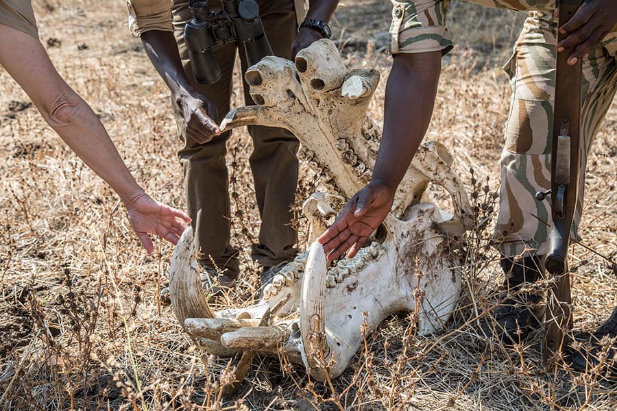 Learn all about the landscape and its wild inhabitants. 