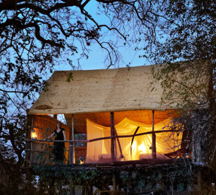 Chikoko's chalets are raised off the ground & sit, rather romantically, in the tree canopy.