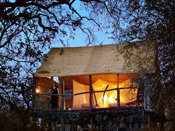 Chikoko's chalets are raised off the ground & sit, rather romantically, in the tree canopy.