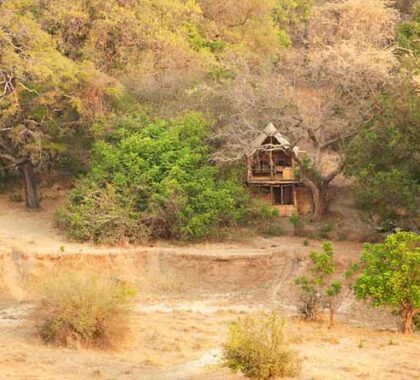 Get away from it all at this rustic bush camp, set in the wild heart of the South Luangwa.