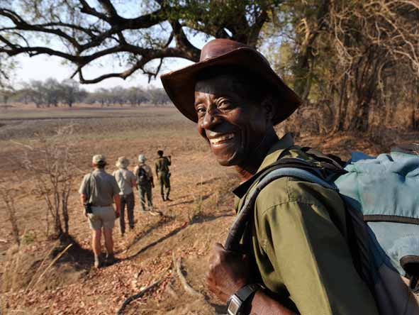 Set off on foot along ancient elephant & hippo trails, led by your expert armed guide at Chikoko Tree Camp.