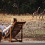 Increíble entorno ribereño y magnífico avistamiento de animales.