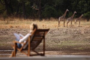 Increíble entorno ribereño y magnífico avistamiento de animales.