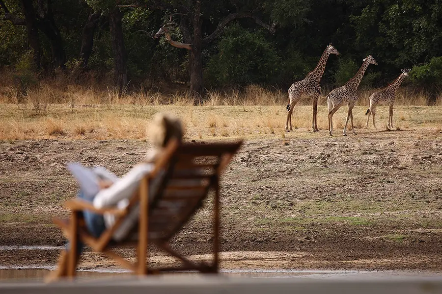 Increíble entorno ribereño y magnífico avistamiento de animales.