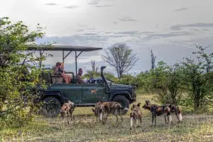 Exciting game drives.