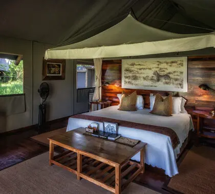 Chitabe Lediba has luxurious safari tents.