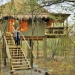 Las suites de estilo casa en el árbol están equipadas con grandes camas individuales, duchas interiores y exteriores y una terraza con vistas a la copa de los árboles.