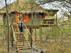 Las suites de estilo casa en el árbol están equipadas con grandes camas individuales, duchas interiores y exteriores y una terraza con vistas a la copa de los árboles.