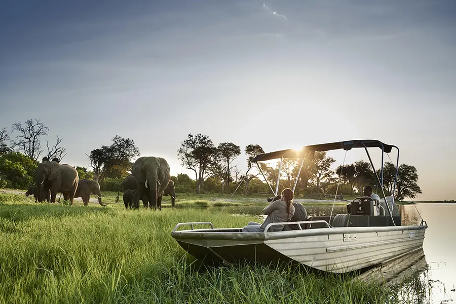 chobe-chilwero-chobe-elephants-3