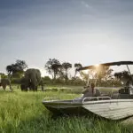 Paseo en barco por el río Chobe.