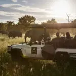 Recorridos por Chobe.