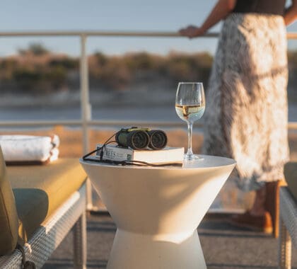 Disfruta de las vistas desde la terraza y quizás puedas observar algún pájaro.