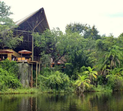 Situado bajo gigantescos árboles a orillas del río, el Chobe Safari Lodge goza de una de las mejores ubicaciones de la zona.