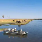 River safaris on the Chobe River.