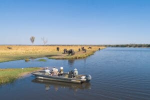 River safaris on the Chobe River.