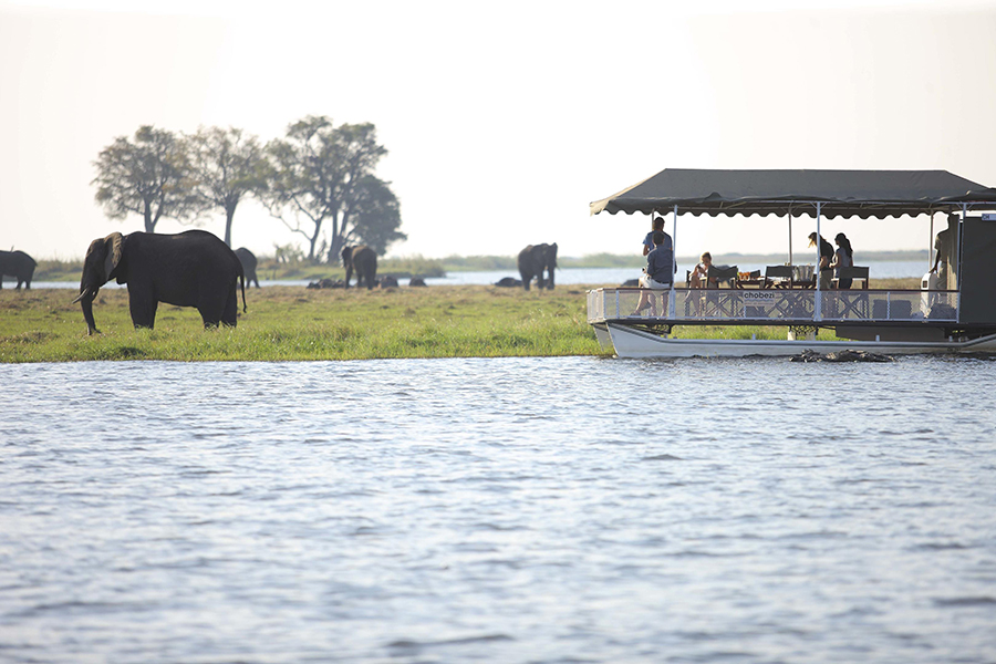 Enjoy boat-based game viewing on the Chobe River.