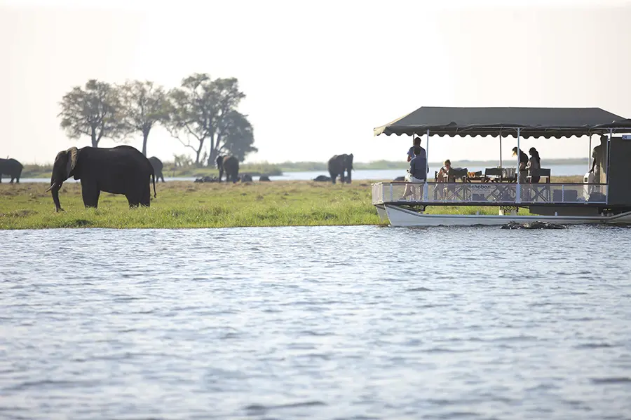 Disfrute del avistamiento de animales en barco por el río Chobe.