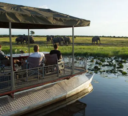 Spend your day out on the boat.