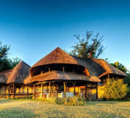 Chobe Savanna Lodge.
