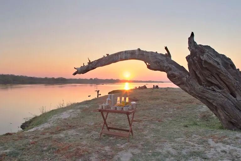 Sip on refreshing cocktails.